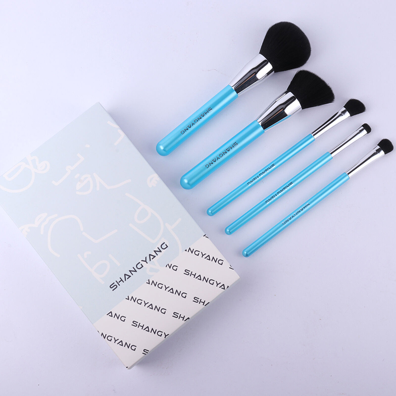 Pure Blue 5 pcs face brush set SY-DIY0302