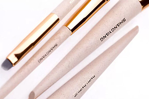 4 Components the Best Cosmetic Brush Have