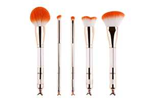 Best Makeup Brushes Brand